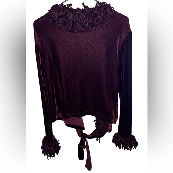 Bonnie Strauss Vintage Fringe Shawl - Picture 3 of 4